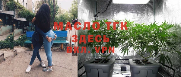 дмт Алексеевка