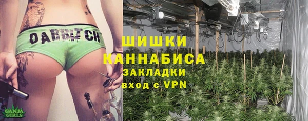 ГАЛЛЮЦИНОГЕННЫЕ ГРИБЫ Алексин